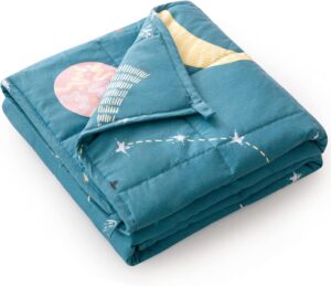 Weighted Blanket (3 lb)