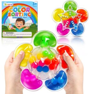 Color Sorting Sensory Toys for Autism, Roadtrip Travel Essenstial for Toddler, Color Matching…