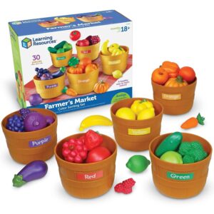 Learning Resources Farmer’s Market Color Sorting Set