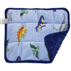 MAXTID Kids Weightd Lap Pad 12×18 2lb Mini Lap Pad Blanket for Kids