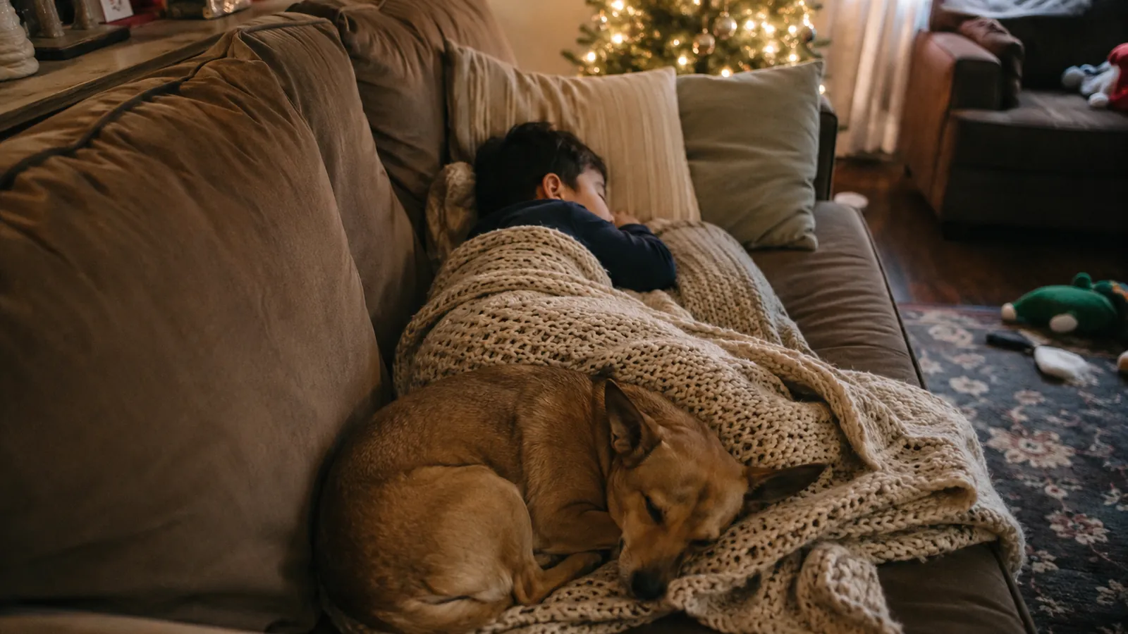 A baby sleeps in a soft blanket on the floor under the glow of Christmas tree lights