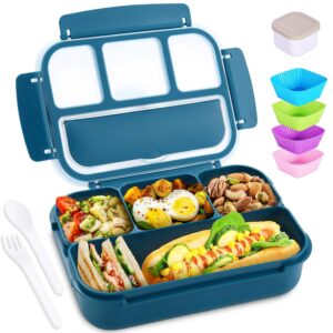 shell and turtle Bento Box Adult Lunch Box