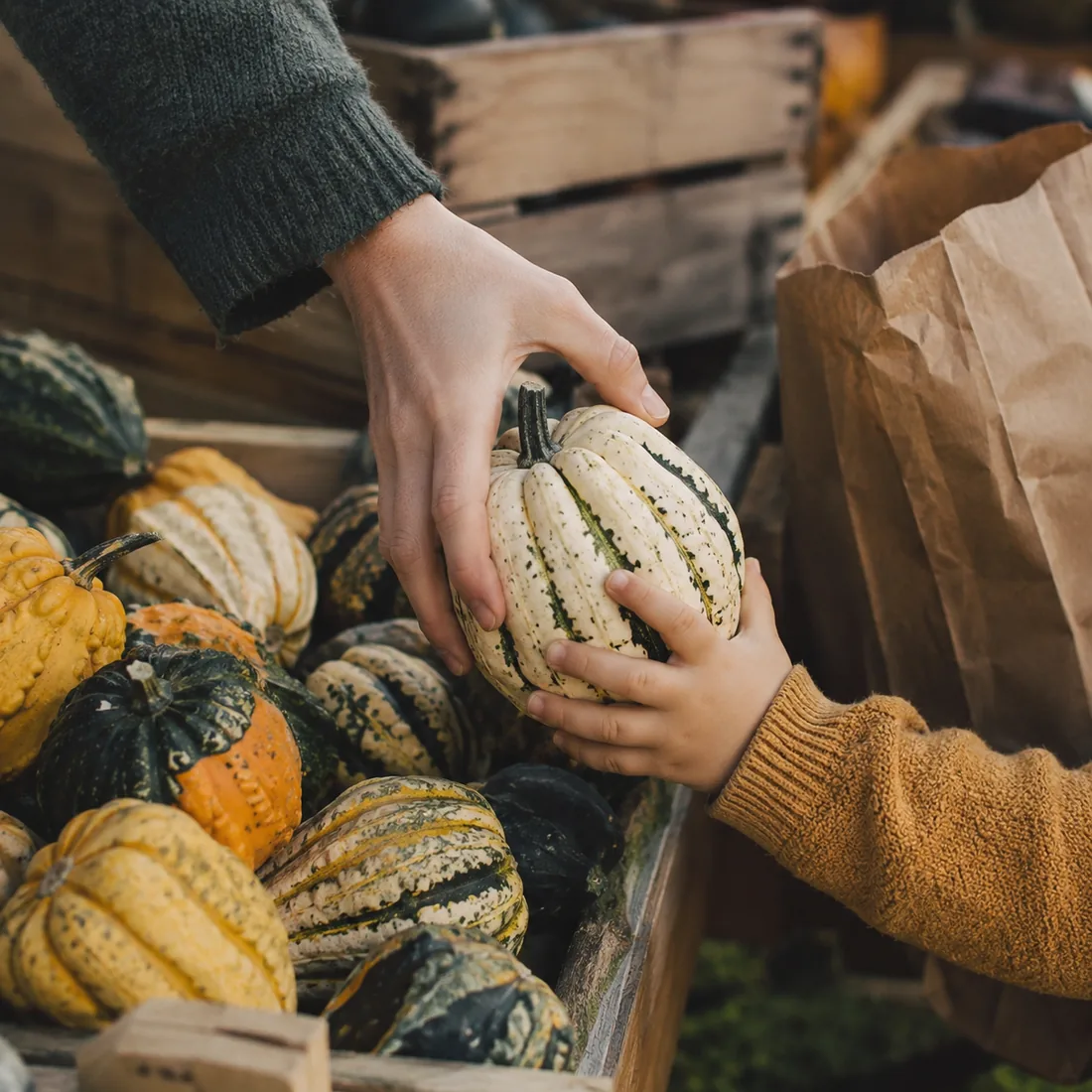 Crates of squash and autumn produce at an outdoor market stall